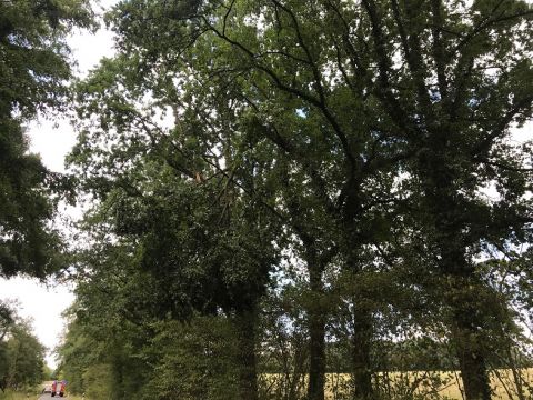 Einsatzdokumentation Feuerwehr Lippetal