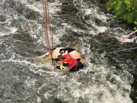 Einsatzdokumentation Feuerwehr Lippetal