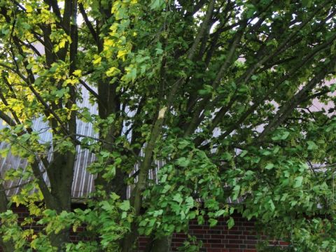 Einsatzdokumentation Feuerwehr Lippetal