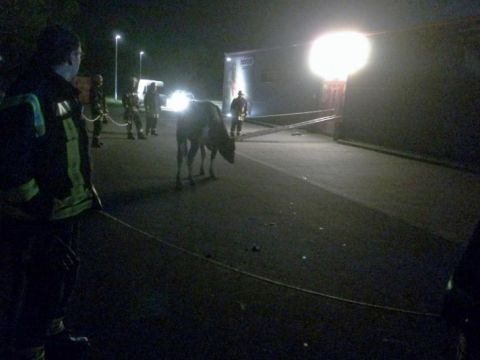 Einsatzdokumentation Feuerwehr Lippetal