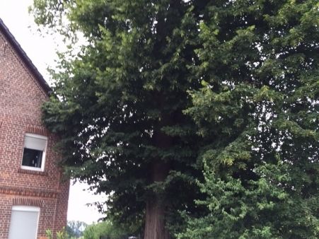 Einsatzdokumentation Feuerwehr Lippetal