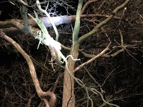 Einsatzdokumentation Feuerwehr Lippetal