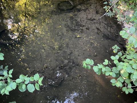 Einsatzdokumentation Feuerwehr Lippetal