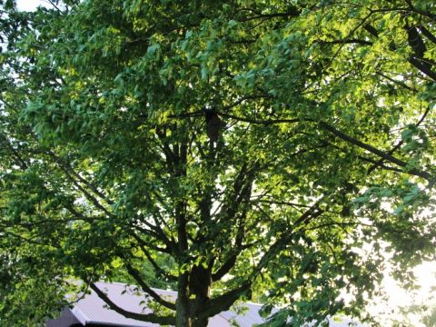 Einsatzdokumentation Feuerwehr Lippetal