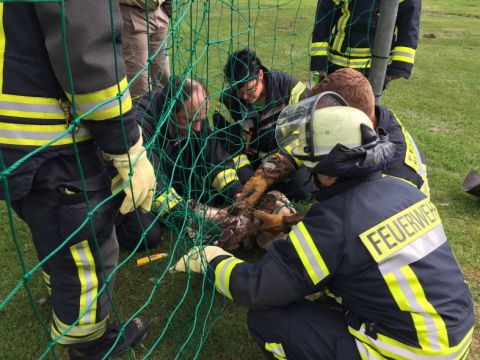 Einsatzdokumentation Feuerwehr Lippetal
