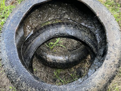 Einsatzdokumentation Feuerwehr Lippetal
