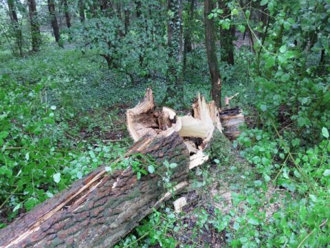 Einsatzdokumentation Feuerwehr Lippetal