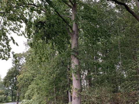 Einsatzdokumentation Feuerwehr Lippetal