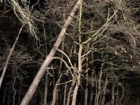 Einsatzdokumentation Feuerwehr Lippetal