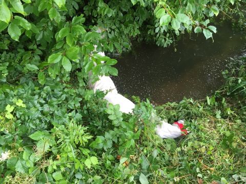 Einsatzdokumentation Feuerwehr Lippetal