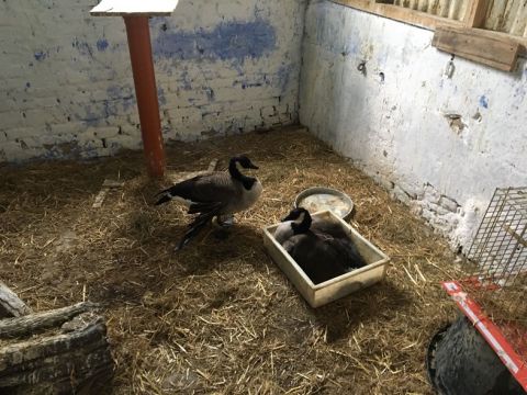 Einsatzdokumentation Feuerwehr Lippetal