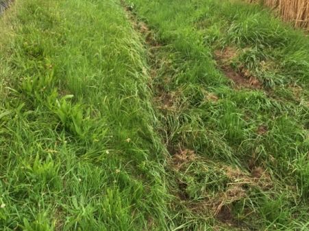 Einsatzdokumentation Feuerwehr Lippetal