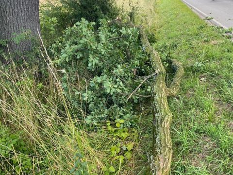 Einsatzdokumentation Feuerwehr Lippetal