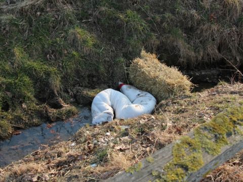 Einsatzdokumentation Feuerwehr Lippetal